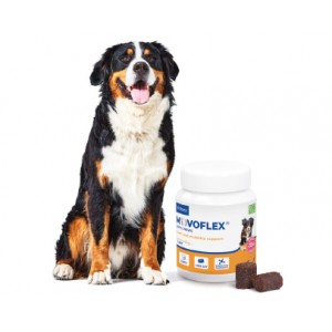 Movoflex® Soft Chews L (+35kg) 30 Chews